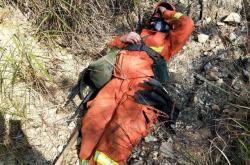 lol官方-社区盾倒计时，菲尼克斯太阳集结日队长鼓劲，细节引发关注，态度坚定，心理建设被强调